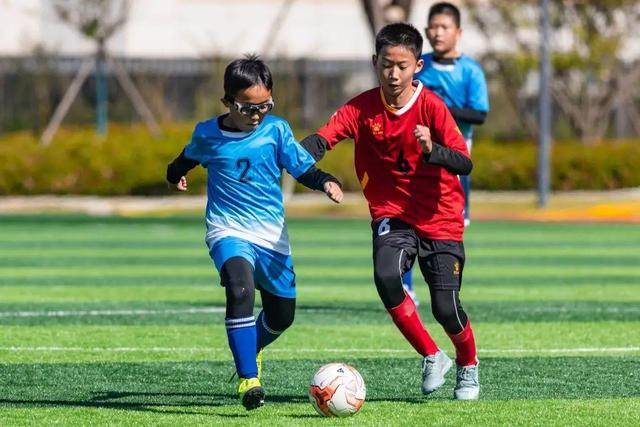 华语导演与演员齐聚国际影坛，成龙、甄子丹、李安重磅回归